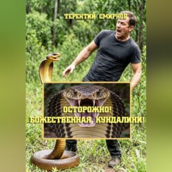 Осторожно! Божественная Кундалини! Книга Вторая