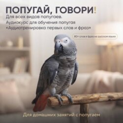 Аудиокурс для обучения попугая