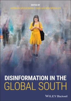 Disinformation in the Global South