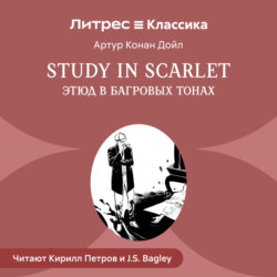 Study in Scarlet /Этюд в багровых тонах