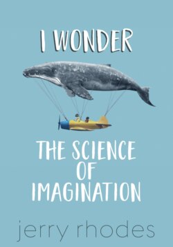 I Wonder…