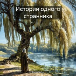 Истории одного странника
