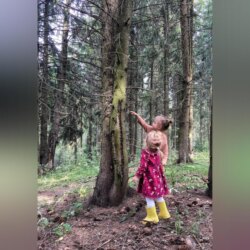 Разочарованный лес