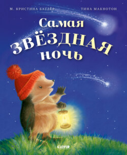 Самая звёздная ночь