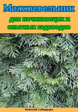 Можжевельник для начинающих и опытных садоводов