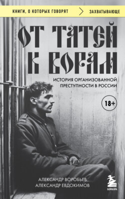 От татей к ворам. История организованной преступности в России