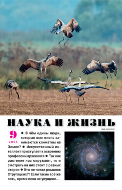 Наука и жизнь №09/2025
