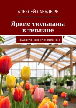 Яркие тюльпаны в теплице. Практическое руководство