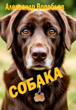 Собака